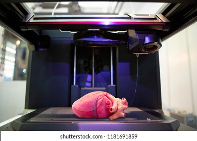 3d Printer With A Printed Human Heart