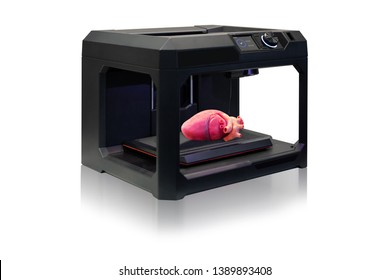 3d Printer With A Printed Human Heart