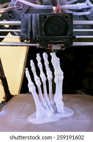 3D Printing Model Of Human Foot Bones