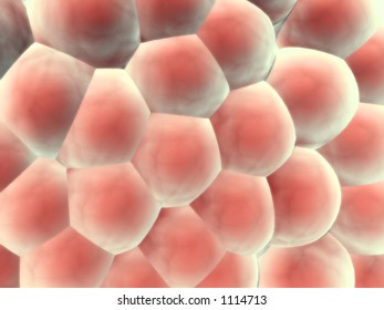 3d render of wall of organic cells