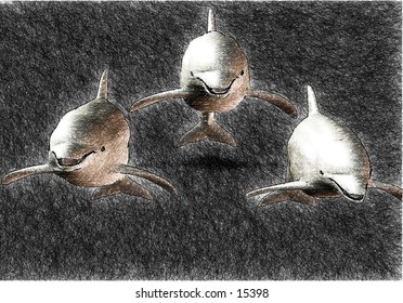 3d rendered dolphin sketch