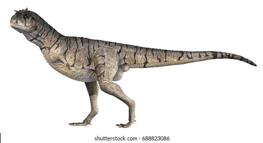carnotaurus sastrei images stock photos vectors shutterstock carnotaurus size