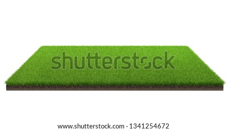 3d rendering of green grass field isolated on a white background with clipping path. Sports field. Exercise and recreation place.