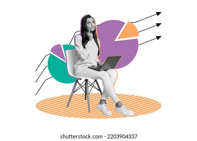 3d retro abstract creative artwork template collage of thoughtful smart intelligent woman investor work computer trading increase capital