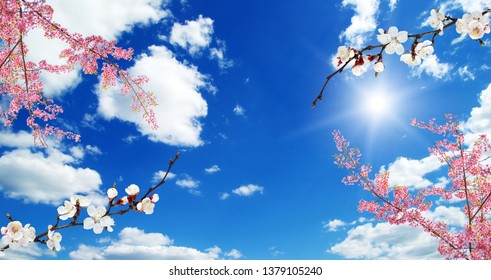 Ceiling Sky Wallpaper Stock Photos Images Photography