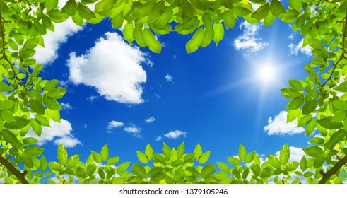 Sky Ceiling Wallpaper High Res Stock Images Shutterstock