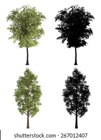 3d Tree Render On White Background Stock Photo 267012407 | Shutterstock