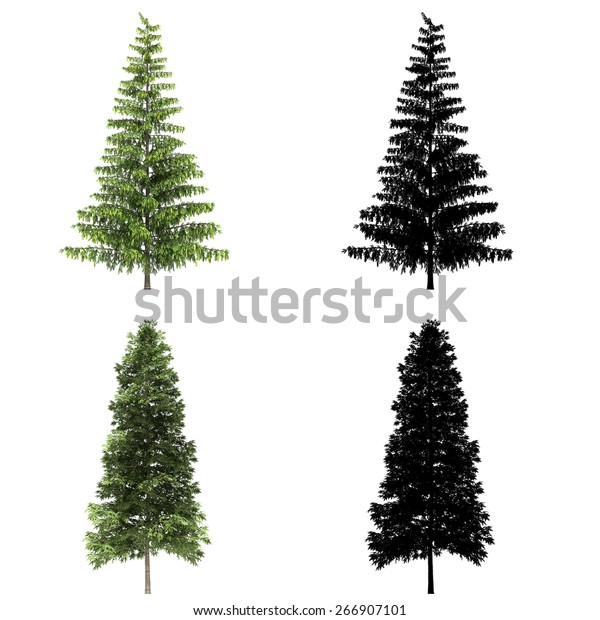 3d Tree Render On White Background Stock Photo (Edit Now) 266907101