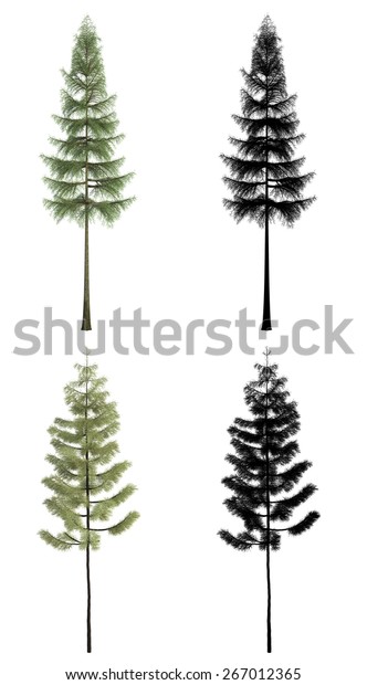 3d Tree Render On White Background Stock Photo (Edit Now) 267012365