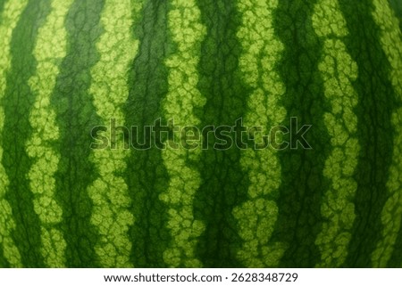 3D Watermelon Rind Striped Pattern Macro Shot
