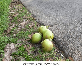 4 coconuts. If you open them, they will be so refreshing.