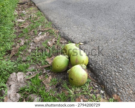 4 coconuts. If you open them, they will be so refreshing.