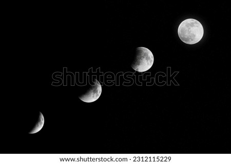 4 of the moon phases
