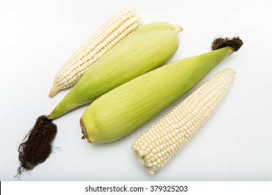4 White Maize with and without  leaves produced in Mexico organic or transgenic isolated on white Front View