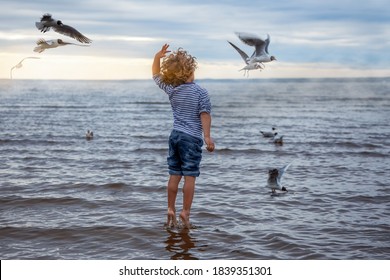 A 4 years old kid (boy) with curly hair in a sailor's striped vest feeds gulls on the beach. He jumps like he's dancing and standing on tiptoe like ballet dancer. Back view. Cloudy weather, sunset.