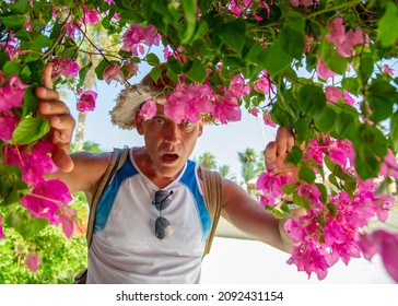 45-50 Year Old Man Of Athletic Build With A Backpack In Hurgada Egypt Covered With Pink Flowers.Concept: Hiking And Trekking.