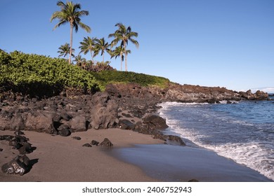 49 black sand beach on the island of Hawaii.  Waves rolling onto the black sand beach, black volcanic rocks on shore and out in the Pacific Ocean with palm trees along shore in the back ground. - Powered by Shutterstock