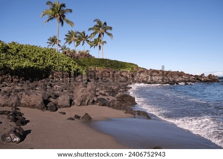 49 black sand beach on the island of Hawaii.  Waves rolling onto the black sand beach, black volcanic rocks on shore and out in the Pacific Ocean with palm trees along shore in the back ground.