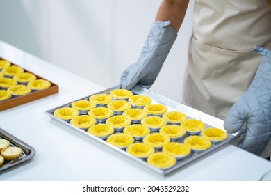 4K Asian Man Bakery Shop Owner Preparing Bakery In The Kitchen. Male Baker Baking Tart Dough For Making Fruit Tart On The Table. Small Business Entrepreneur And Indoor Activity Lifestyle Concept.