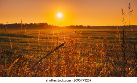 4K Beautiful Autumn Field Landscape TimeLapse . Sun Shining During Sunny Sunset Evening. 4K Calm Country Landscape Meadow Field. Sunset Sun Sunshine Shine Light. Countryside Rural Landscape.