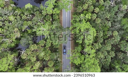4K Drone View Of The Ormond Beach Scenic Loop Drive - Florida Landscape