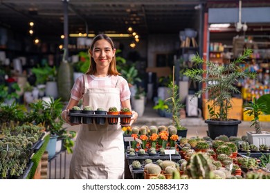 4K Young Asian Woman Gardener Caring Houseplant And Cactus Pot In Greenhouse Garden. Female Plant Shop Owner Checking And Counting Plants In Store. Small Business Entrepreneur And Plant Caring Concept