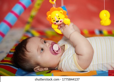 4-Month-Old Baby Girl Playing With Toys. Girl Pulling Hand For A Toy. Rattles For Newborns. The Kid Plays The Rattle