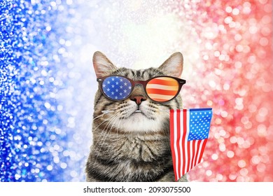 4th of July - Independence Day of USA. Cute cat with sunglasses and American flag on shiny festive background