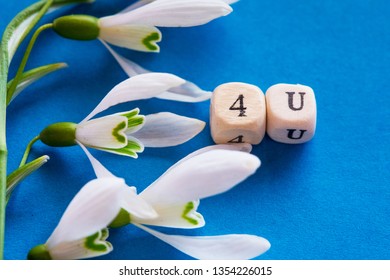 4u. For you concept on blue background. First spring flowers snowdrops and wooden letters.