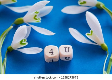 4u. For you concept on blue background. First spring flowers snowdrops and wooden letters.