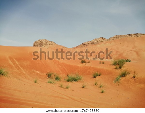 4WD (four\
wheel drive) vehicle tire tracks imprinted in Arabian desert sand\
dunes from off-roading, dune bashing activity. Strong wind action\
erases the tracks over a period of\
time.