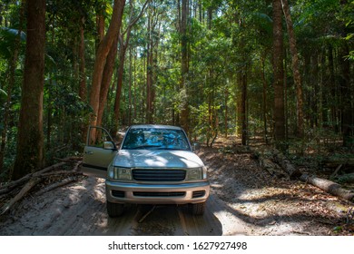 4WD Fraser Island Driving On Sandy Rainforest Road On Great Sandy National Park, Queensland Australia.