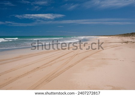 4wd tracks on the sandy beach in South Australia