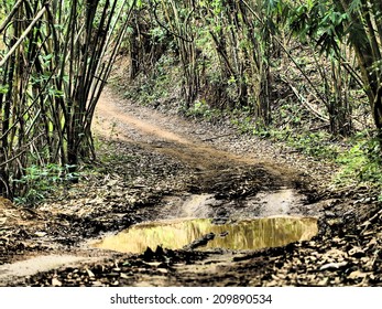 4wd Tyre Tracks