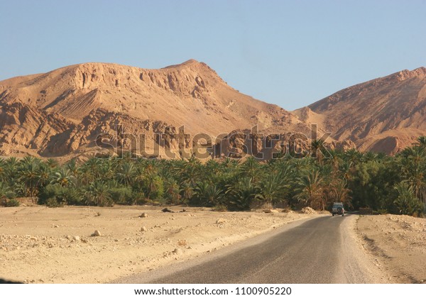 4x4 car driving with tourists to\
Oasis with dates palm forest  in de middle of the\
desert