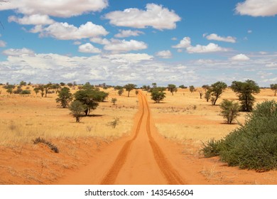 4x4 Sand Track After Rain In The Kgalagadi Transfrontier Park.