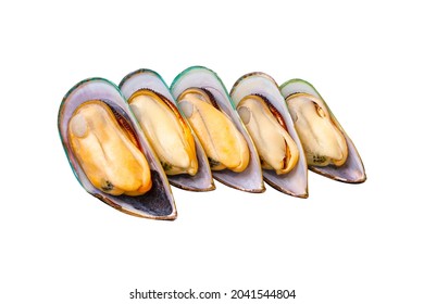 5 fresh peeled New Zealand mussels arranged isolated on a white background. popular seafood. Large New Zealand mussels prepared for cooking.