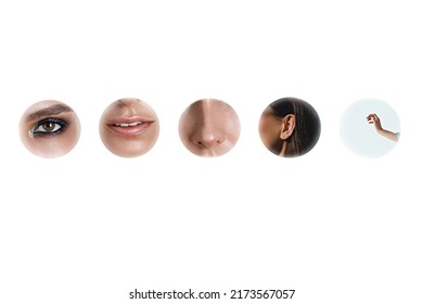 5 senses - hearing, smell, taste, touch, sight. Set of human sense organs in circles isolated on white background. collage in modern line art style