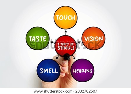 The 5 types of external stimuli - divided into our senses: touch, vision, smell and taste, mind map concept for presentations and reports