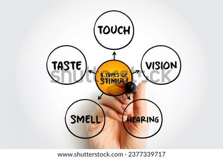 The 5 types of external stimuli - divided into our senses: touch, vision, smell and taste, mind map concept for presentations and reports