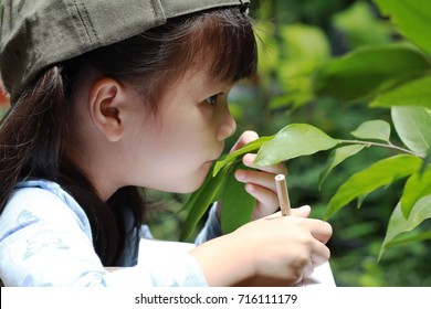 5 Year Old Asian Girl In Her Backyard Nature Class,smell,observe For The Tree Components.Girl Drawing And Take Noted What She Finding.Nature Classroom Make Independence And Self-esteem In Children. 