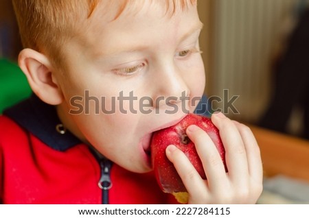 A 5 year old boy is biting a big red apple. Boy eating an apple, close-up