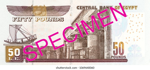 50 Egyptian Pound Bank Note Full Frame Reverse