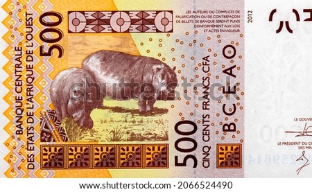 500 CFA franc bank note. CFA franc is used in 14 African countries. Portrait from 500 CFA franc Banknotes.