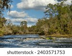 At 51 feet the Suwannee River looks relatively tame, but when the water level reaches 60 feet or more, the river transforms into Class III Whitewater rapids. Photographed in Big Shoals State Park, FL.