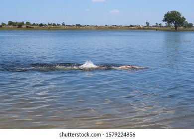 52 Year Old Man Jumping Inside The Bridal Pond, Playing In The Water