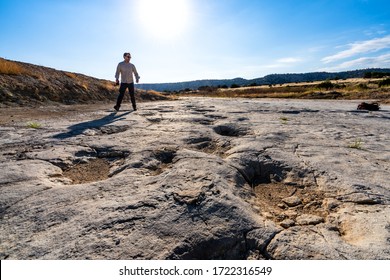 comanche national grassland dinosaur tracks