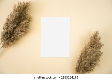 5x7 Card Mockup With Pampas Grass Leaves On Beige Background