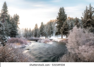 6 degrees, a fresh coating of snow and a beautiful sunrise in Bend, Oregon this morning.
soft focus and dreamy