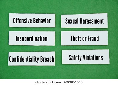 6 Examples of Employee Misconduct and How to Handle Them are Offensive Behavior, Sexual Harassment, Insubordination, Theft or Fraud, Confidentiality Breach and Safety Violations.